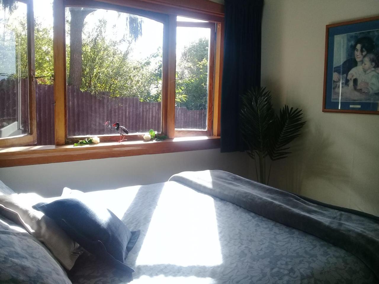 Blue Penguin Villa Timaru Kültér fotó